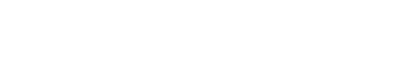 Bolder-Image-Stone-Logo copy